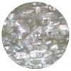 043 0033 Round B